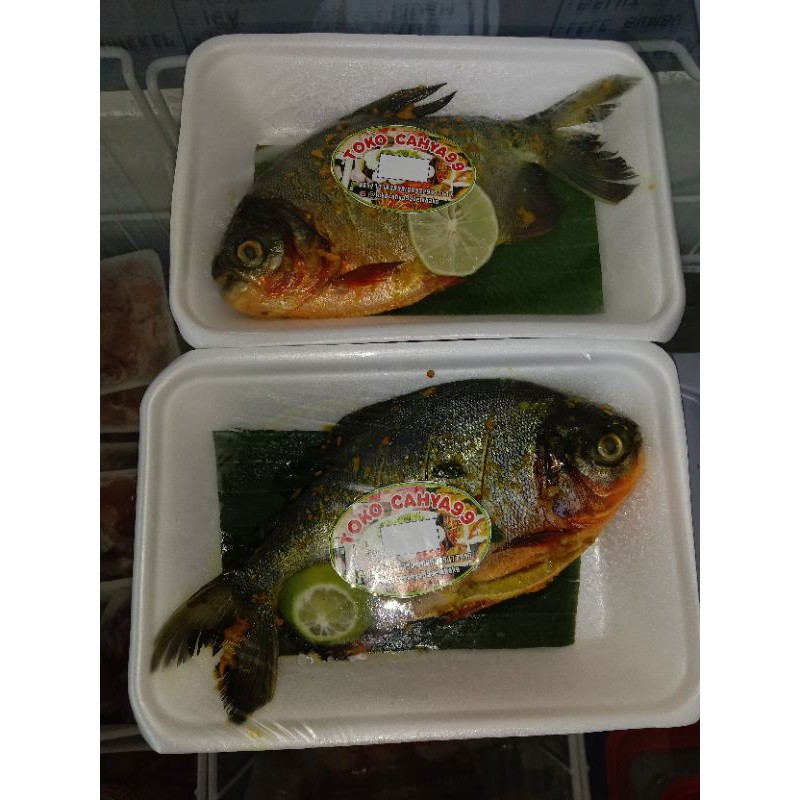 

ikan bawal segar dijual / pck