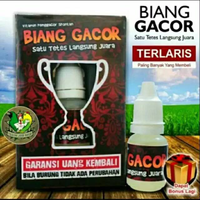 Vitamin Burung Penggacor Seketika Biang Gacor