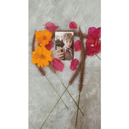 photocard CHENLE MFAL (my first and last)