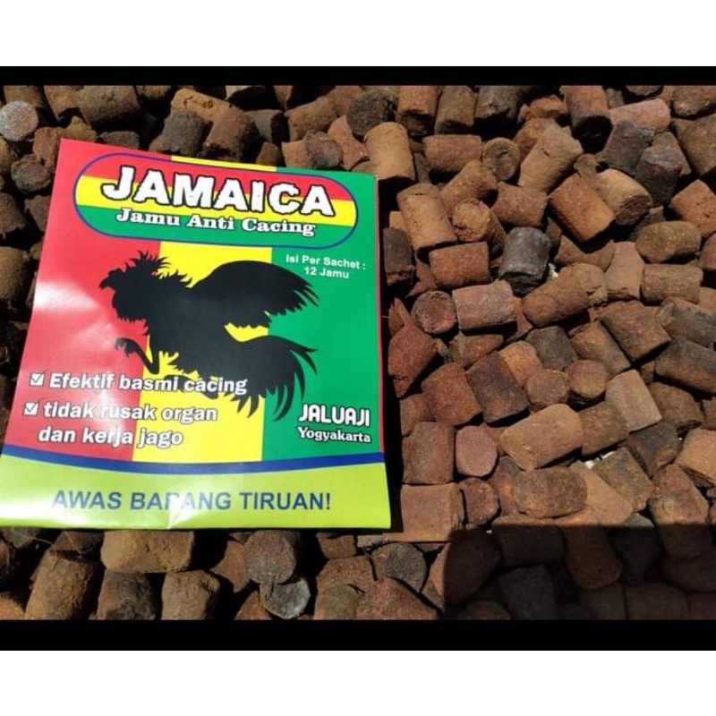 Jamaica obat cacing ayam-jamu anti cacing jamaica