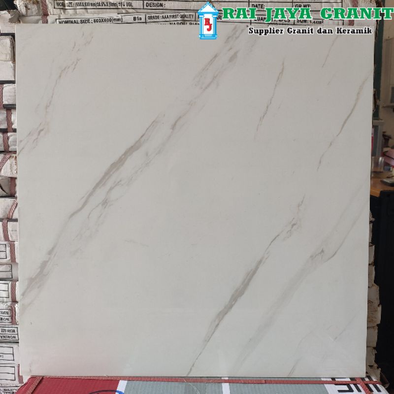 Granit Lantai 60x60 Bologna White