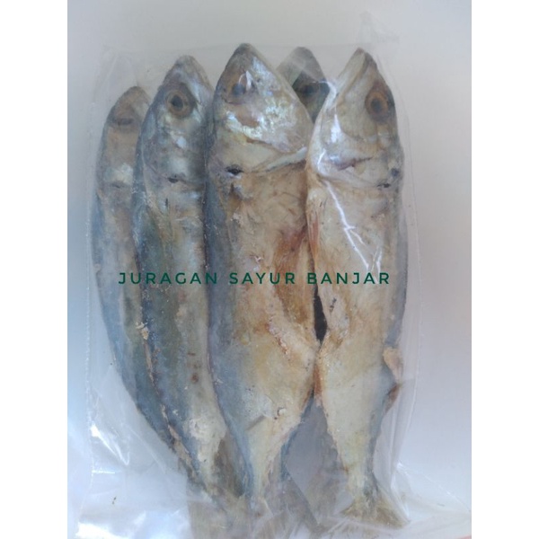 Ikan Asin Peda Kembung Size Medium