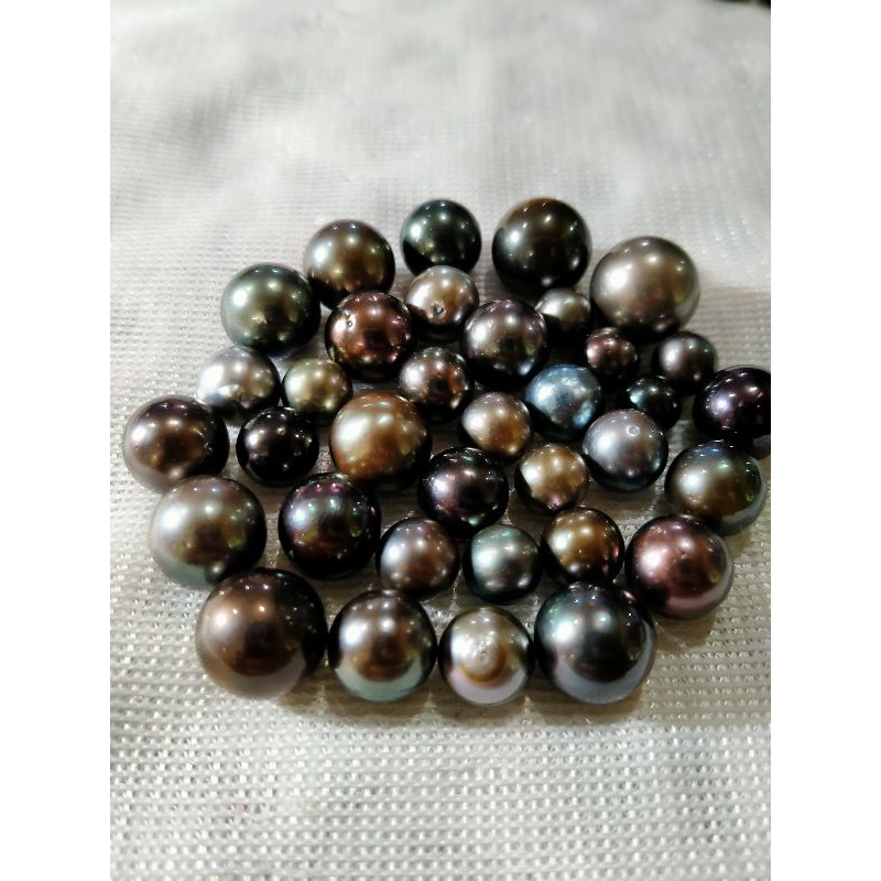 BUTIRAN MUTIARA LAUT HITAM LOMBOK