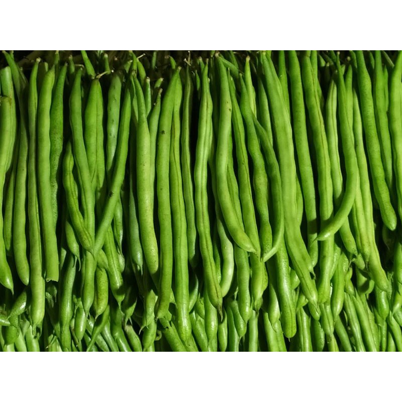 

Buncis besar (500gram)