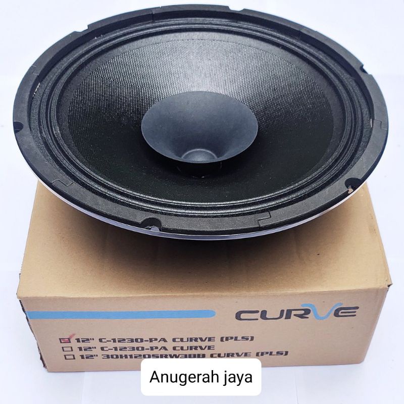 speaker fullrange  12 inch curve