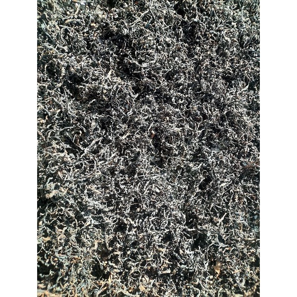 

Teh hitam original