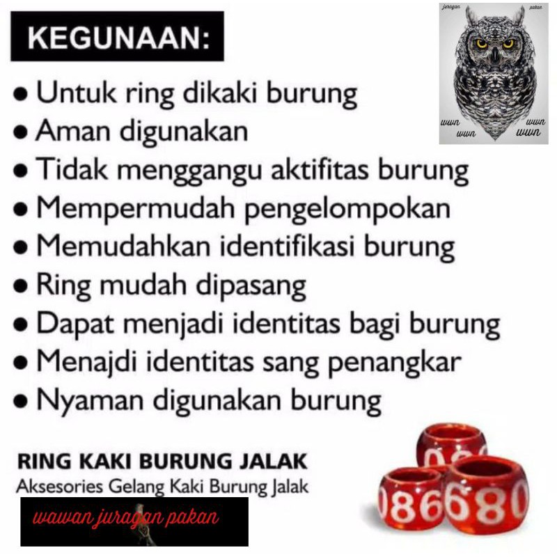 ring burung jalak