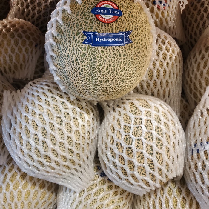 

Melon Japanese Orange Hydroponik /pics