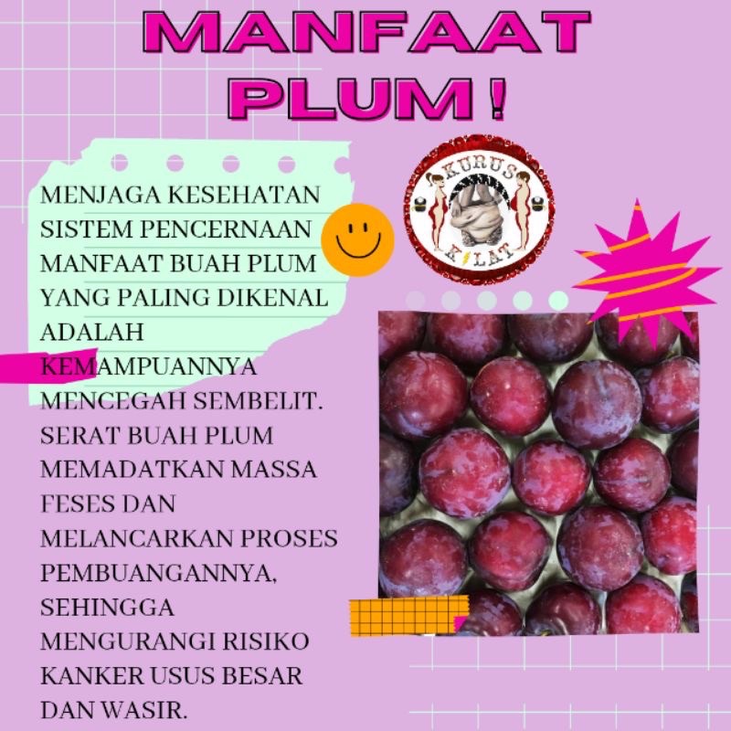 KURUS KILAT DRIED PLUM Penurun Berat Badan Pelangsing Diet Detox Perut Buncit Ampuh No Herballife