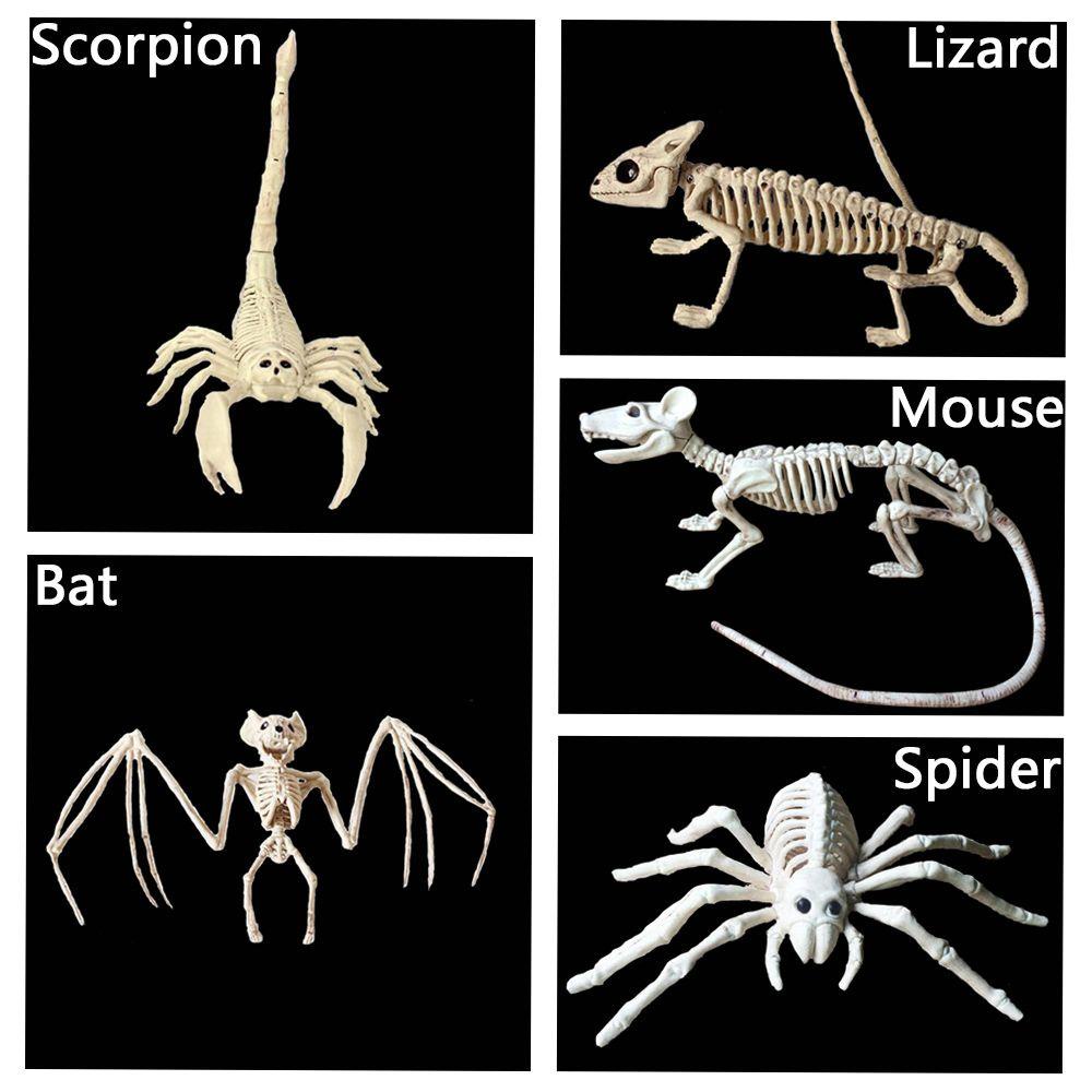 Suyo Tengkorak Scorpion Spider Bat Mouse Model Imitasi Untuk Dekorasi Halloween