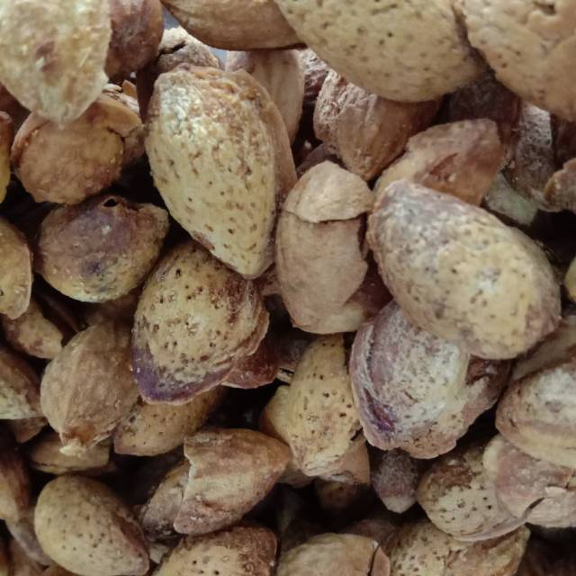 

Kacang almond Cangkang gurih, renyah&fresh ukuran 1kg