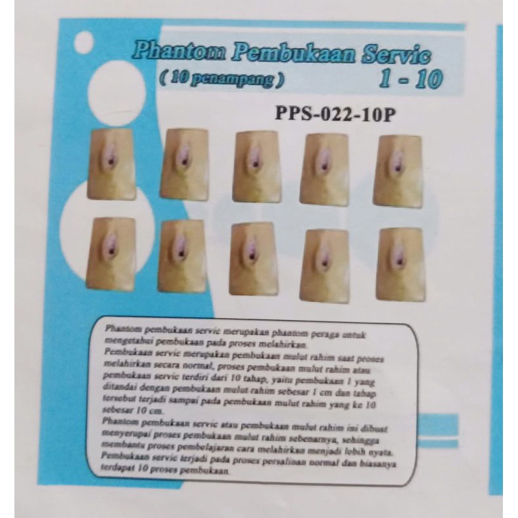 Phantom pembukaan Servic ( penampang).