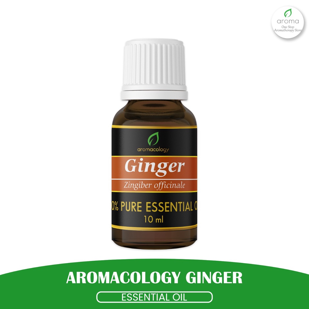 Essential Oil Aromatherapy Aromacology - Ginger 10ml