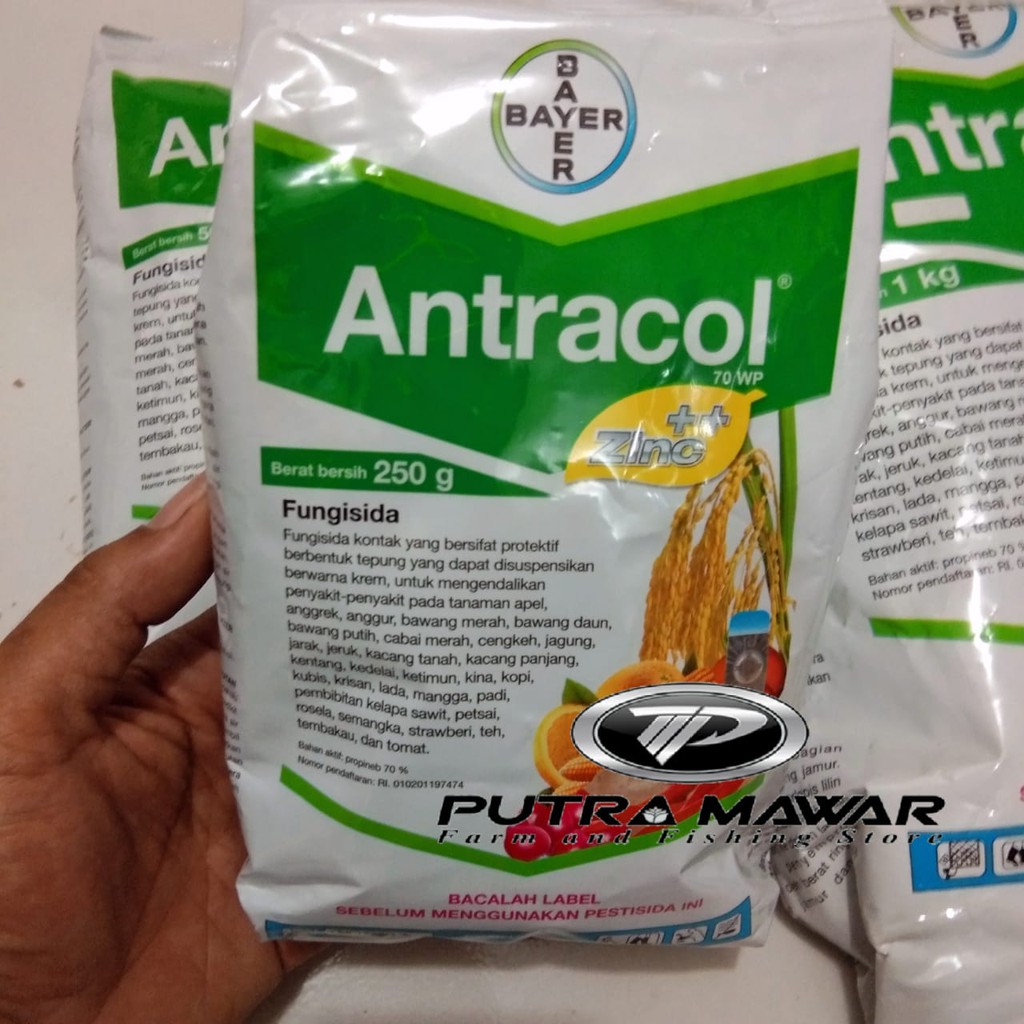 PRODUK- FUNGISIDA ANTRACOL 70WP 250GR. BAHAN AKTIF PROPINEP 70%/OBAT SEMPROT PENYAKIT JAMUR TANAMAN