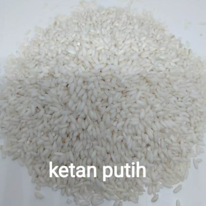 

978Eq0010W Beras Ketan 500 Gr - Putih W5Q40112