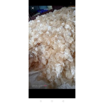 

kripca mentah berat 5kg