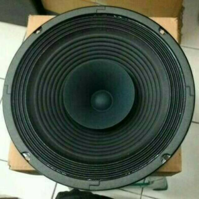 speaker ads 10 inch full range