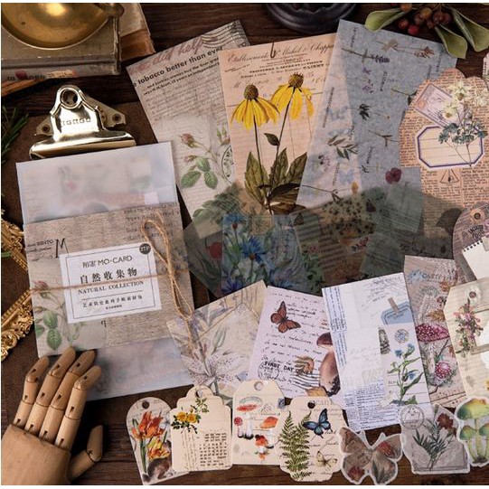 

Scrapbook Paper Retro Footage Pack - Art History Series (27pcs)