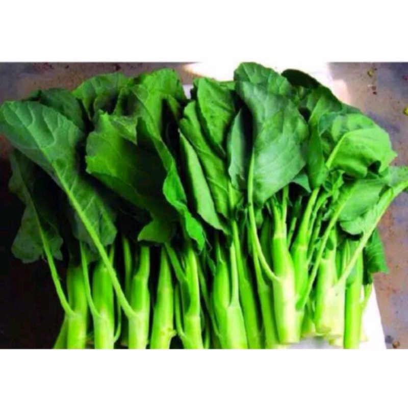 

Kailan per 100 gr