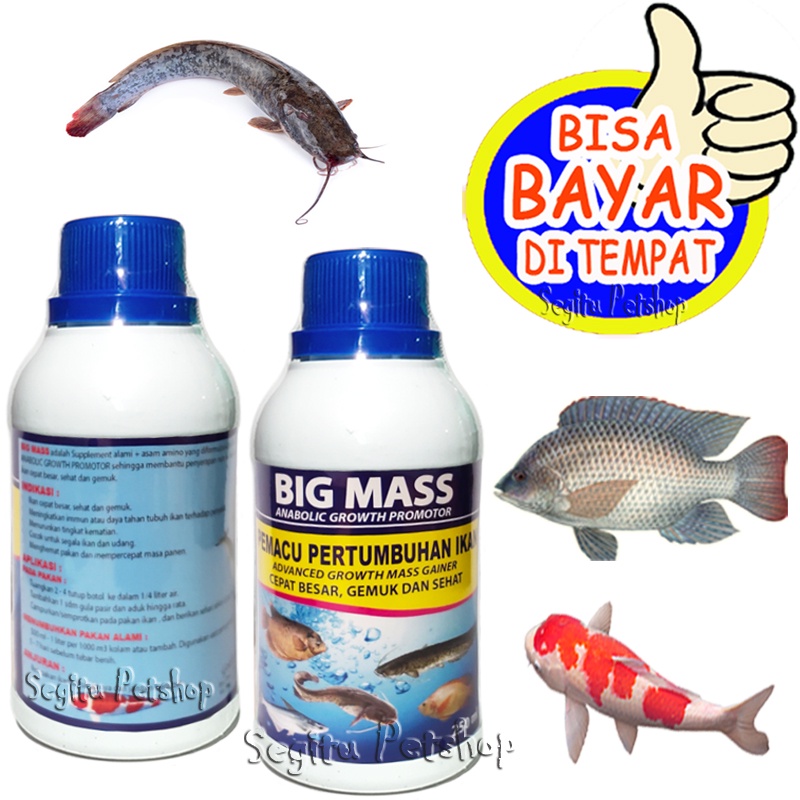 VITAMIN IKAN CEPAT BESAR GEMUK GURAME NILA LELE PATIN BAWAL BIG MASS