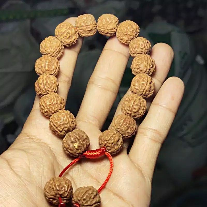 RUDRAKSHA gelang jenitri genitri asli