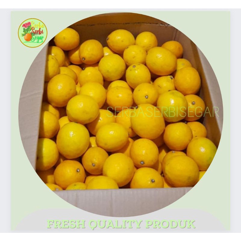 

JERUK LEMON CALIFORNIA IMPORT 5KG