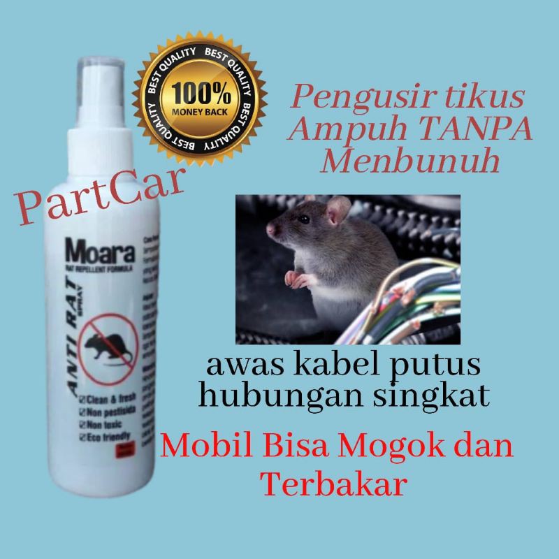 pengusir tikus di mobil, pengusir tikus di mesin , pengusir tikus di rumah secara ampuh