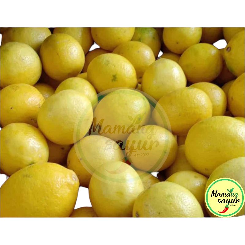 

JERUK LEMON CALIFORNIA SEGAR 1Kg