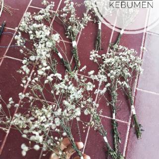 Dandelion Mini Daun Bunga Kering Baby Breath Dekorasi Dandelion Mini Daun Bunga Kering Baby Breath Dekorasi