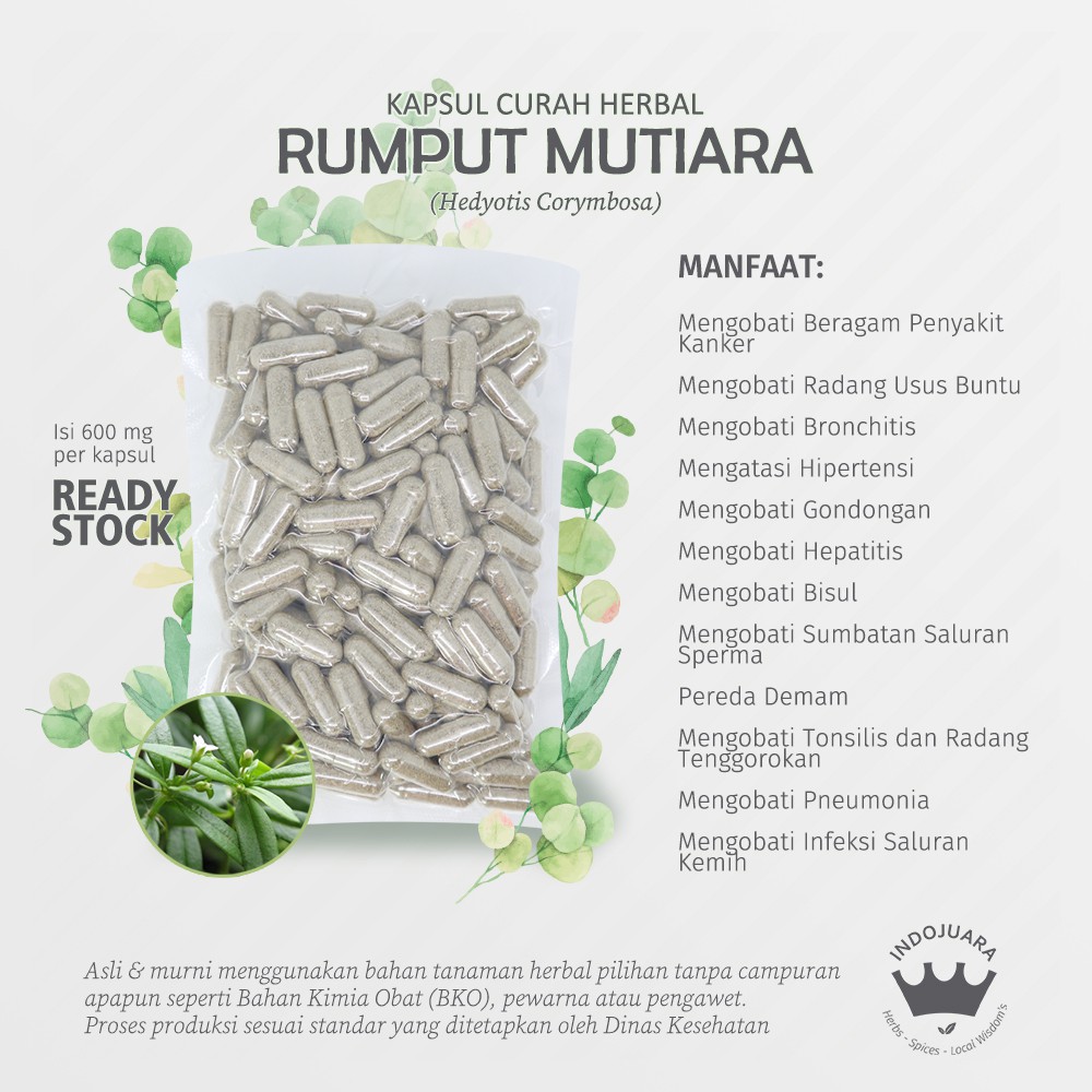 RUMPUT MUTIARA 200 Kapsul Curah Herbal Sumbatan Saluran Sperma Usus Buntu