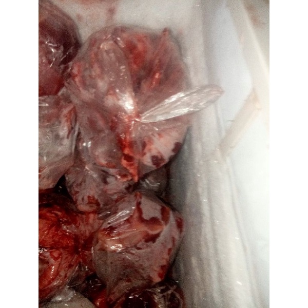 TULANGAN SOP BABI HUTAN / BABI CELENG