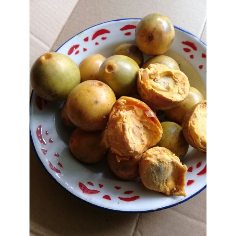 

Buah campolay fresh segar 1kg