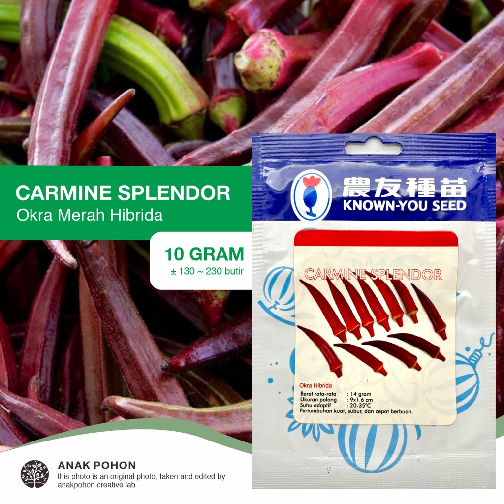 (1 PACK) Benih Sayur Okra Merah Carmine Splendor F1 Hibrida Seeds - Known You Seed KYS - 10 GRAM