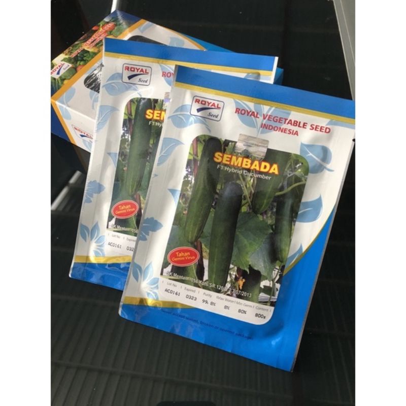 bibit timun/benih mentimun LEGENDA hibrida f1
