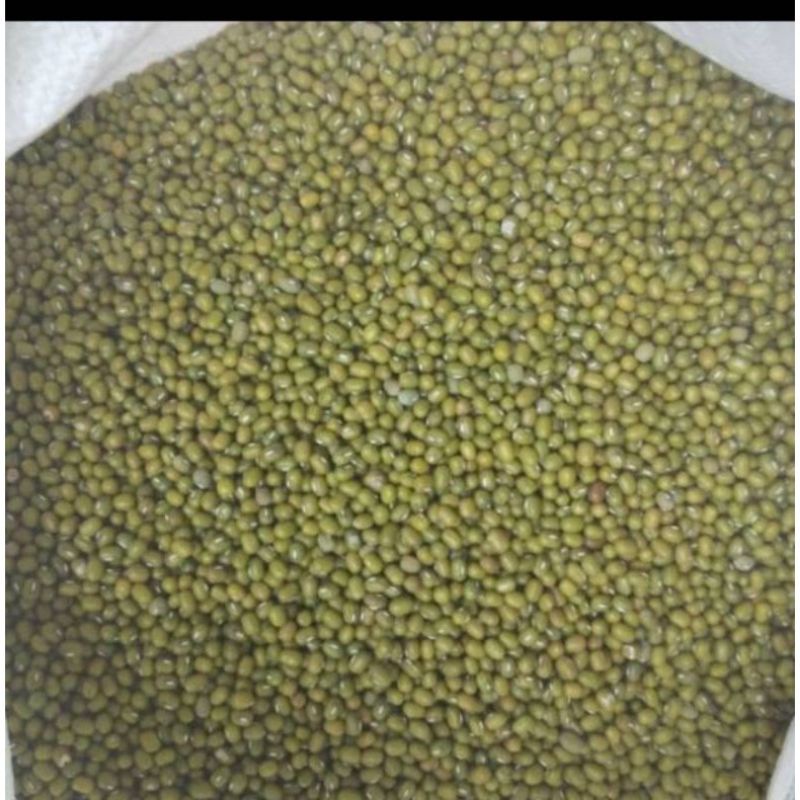 

Kacang ijo mentah termurah 1kg
