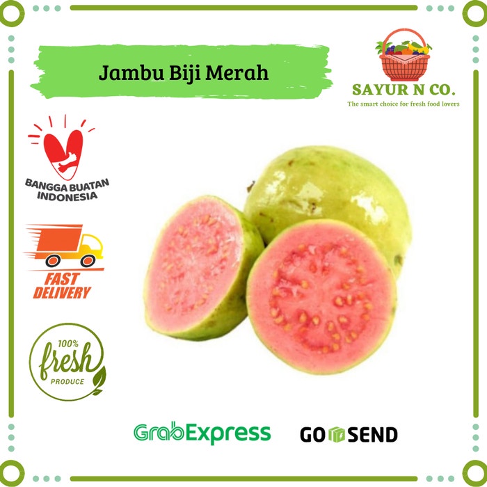 

Jambu Biji Merah 500gr | 1 KG | Sayur N Co Bekasi