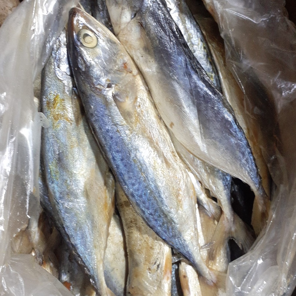 

Ikan Asin Peda Higenis Tanpa Bahan Pengawet