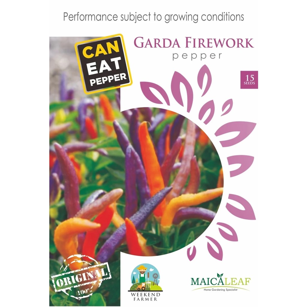 Benih Cabe Pelangi Garda/Bibit Cabe Pelangi Exotic Isi 15 Benih