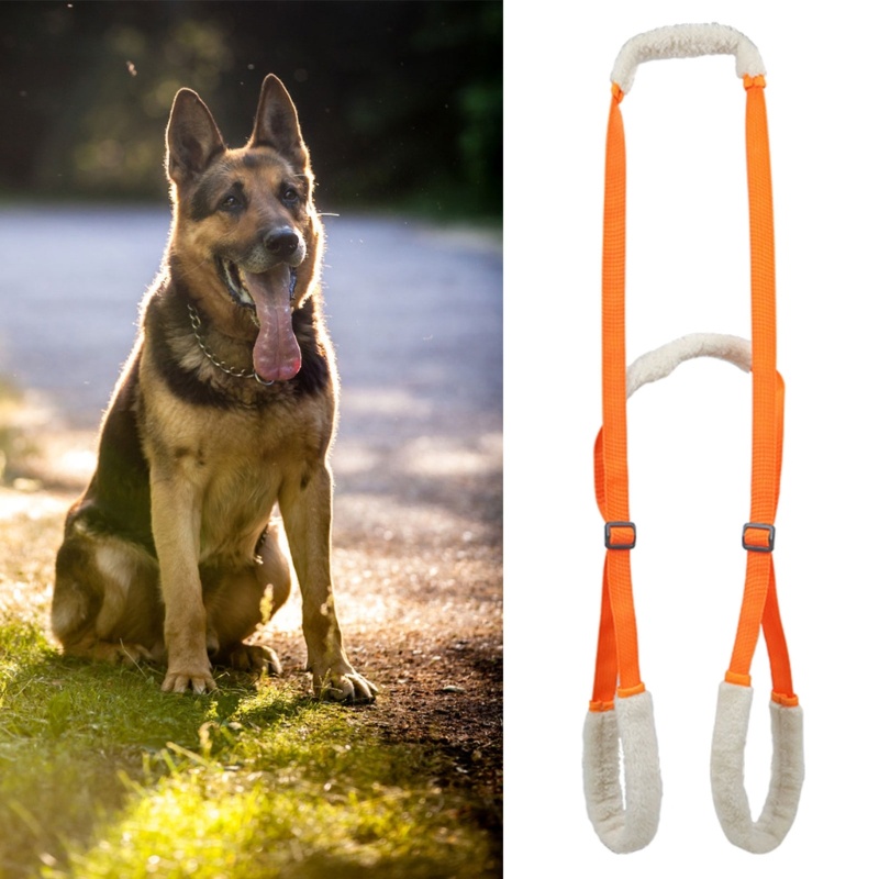 Tali Harness Pengangkat Anjing Dapat Disesuaikan Untuk Cedera Sendi Cacat Tua