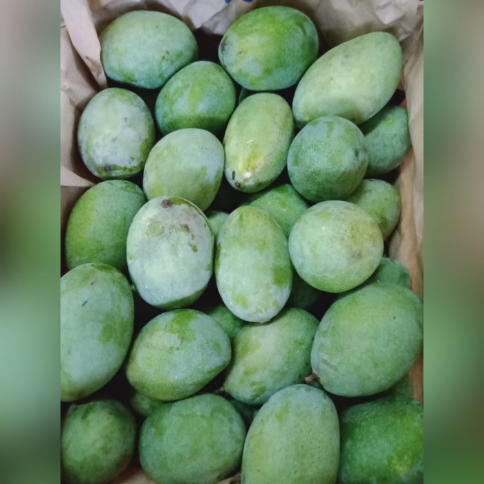 

MANGGA MANALAGI
