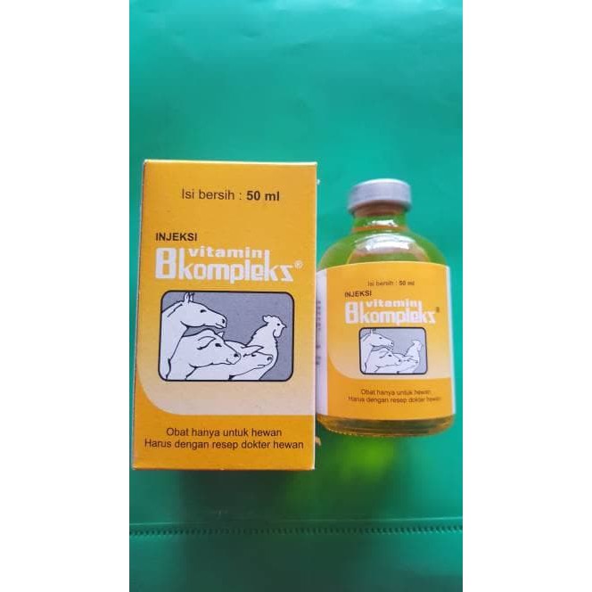 Vitamin B kompleks jeksi..vitamin ayam bebek sapi kambing kuda