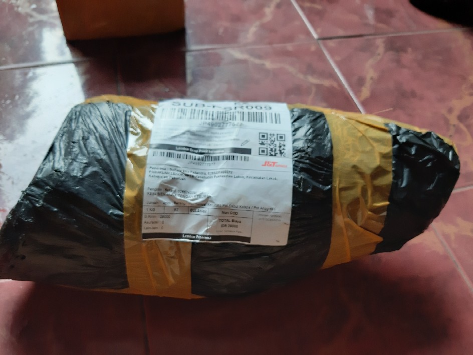 Pot Tempel Kerucut / Pot Sabut Kelapa / Pot Anggrek / Media Tanaman Anggrek