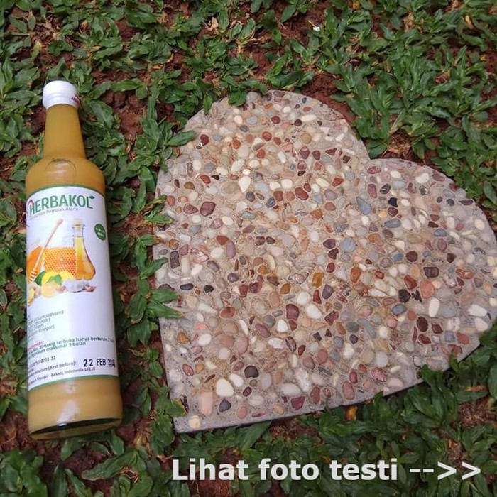 

Obat Herbal Jus Herbal Bawang Putih+Jahe+Lemon Import+Cuka Apel+Madu HERBAKOL OB495