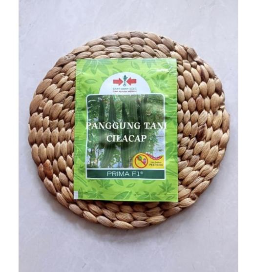 Siap Kirim.. Benih Gambas/Oyong PRIMA F1 - PRIMA VERA F1 (BUAH SAMA BEDA NAMA BARU) / Termurah Ori 1