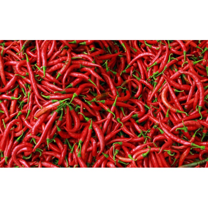 

Cabe Merah Keriting Segar Murah 1000 gram 1kg