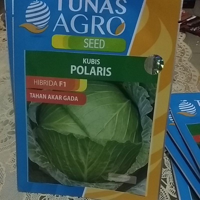 kubis/Polaris/tunas,agro