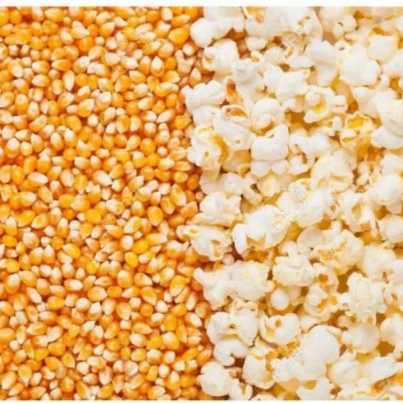 

biji jagung pop corn 1 kg murah kualitas terbaik