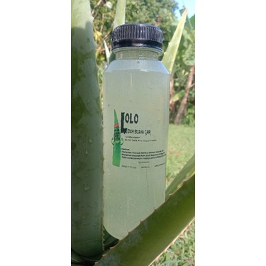 LIDAH BUAYA CAIR-MURNI GEL/LENDIR LIDAH BUAYA- BUKAN JUS LIDAH BUAYA