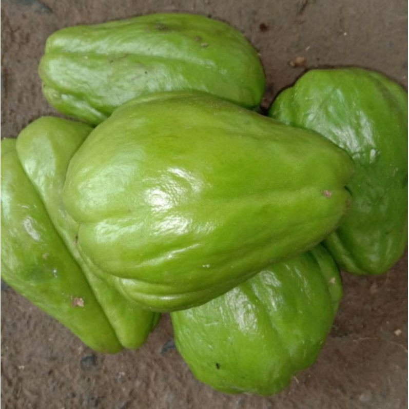 

labu Siam segar 500 gram