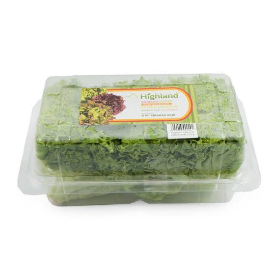 

Salad Highlend salanova lolobionda lettuce